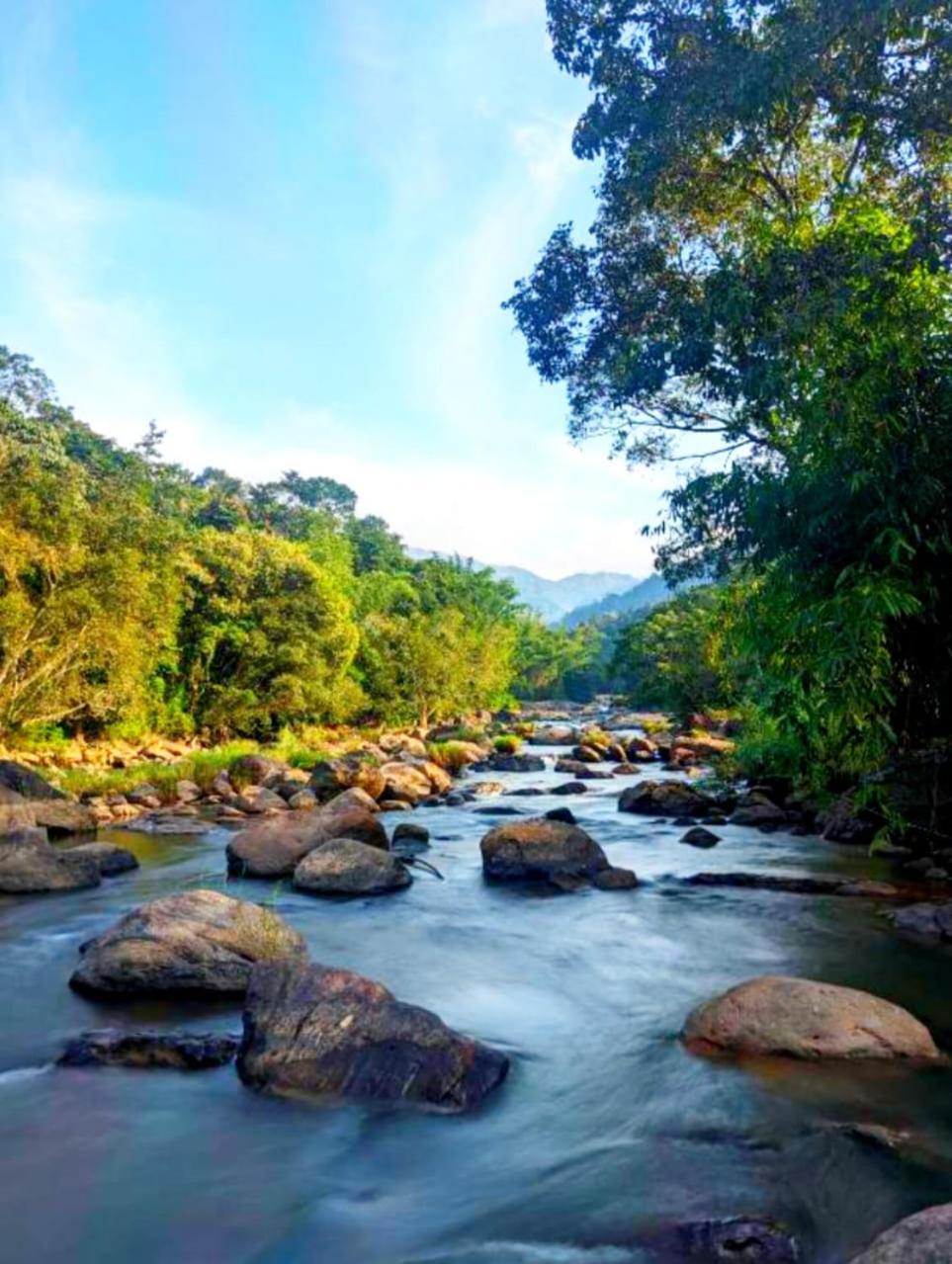 Mistey Valley Munnar Villa Anachal Zewnętrze zdjęcie